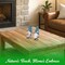 G128 Coastal Gnome Statue Set of 2 | Beach Themed Seasonal Gnome Figurines for Bookshelf, Home, Garden